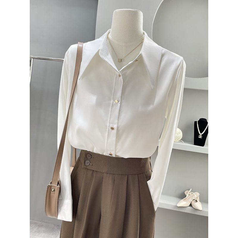 Long Sleeve Shirts Womens Chif - Women'S Formal Wear Blouse reseña y precio