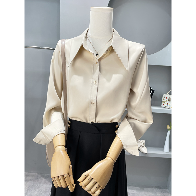 Long Sleeve Shirts Womens Chif - Women'S Formal Wear Blouse reseña y precio