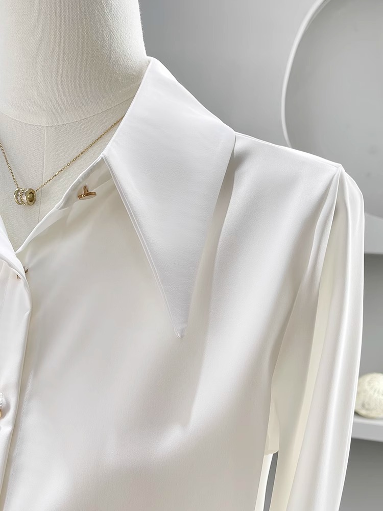 Long Sleeve Shirts Womens Chif - Women'S Formal Wear Blouse reseña y precio