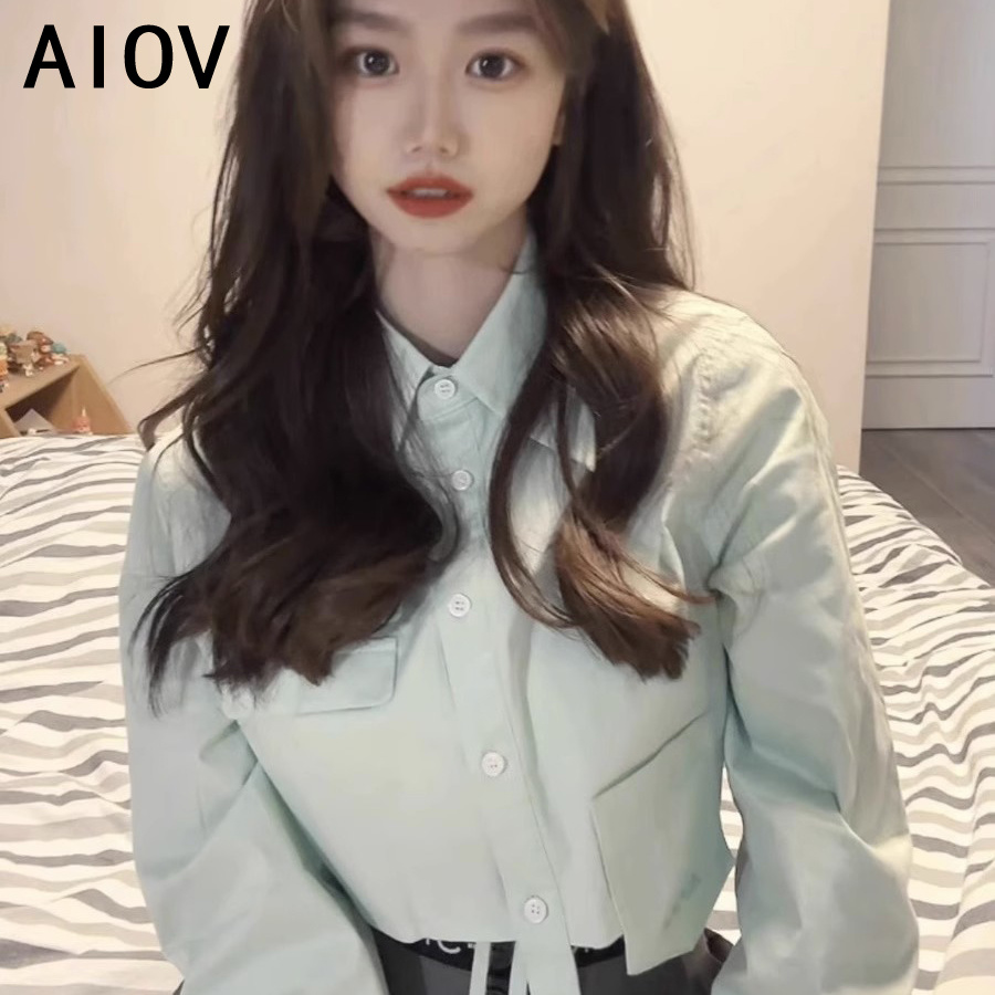 Long Sleeve Shirts Womens Stri - Women'S Formal Wear Blouse reseña y precio