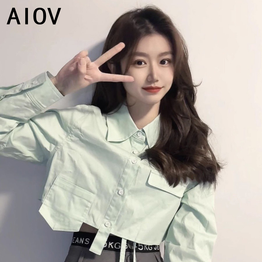Long Sleeve Shirts Womens Stri - Women'S Formal Wear Blouse reseña y precio