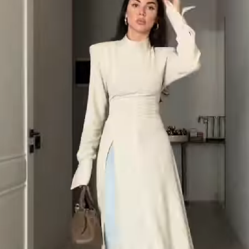 Women's Elegant High Neck Long - Women Formal Office Wear Tops reseña y precio