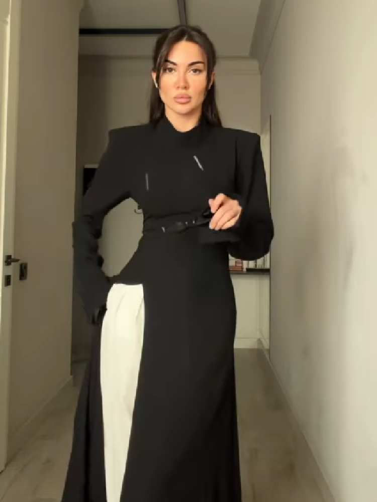 Women's Elegant High Neck Long - Women Formal Office Wear Tops reseña y precio