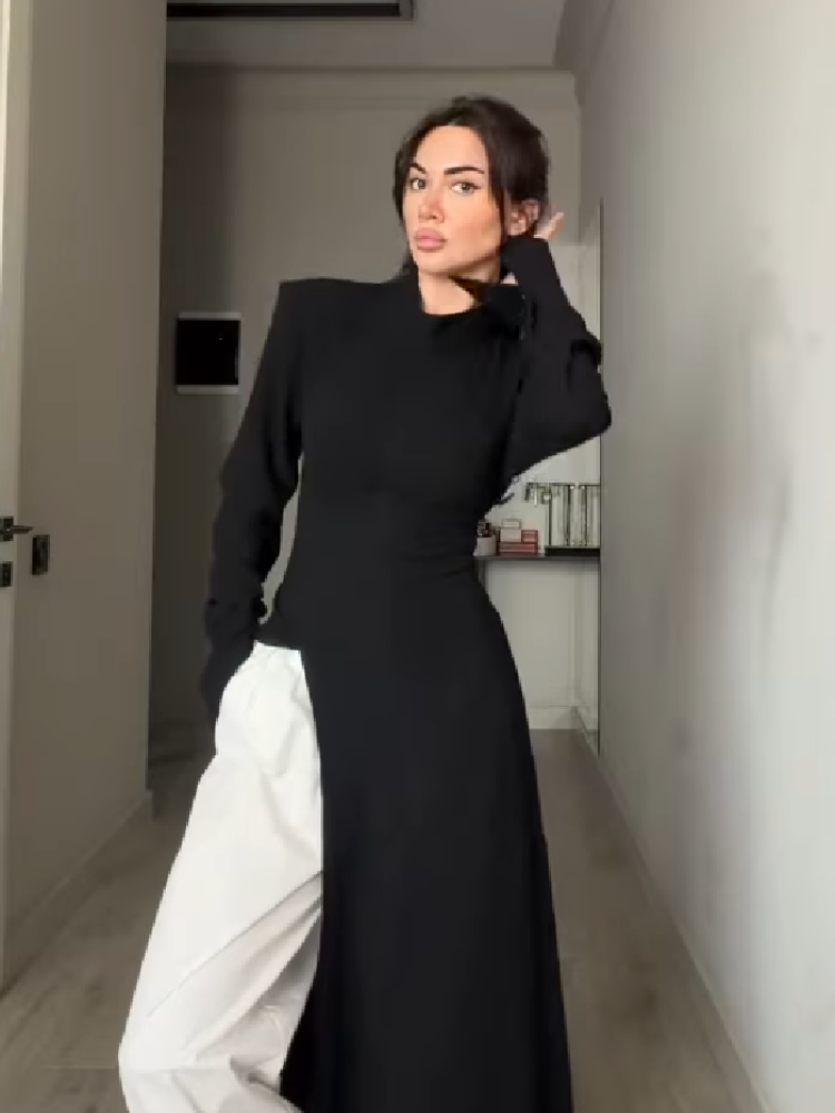 Women's Elegant High Neck Long - Women Formal Office Wear Tops reseña y precio